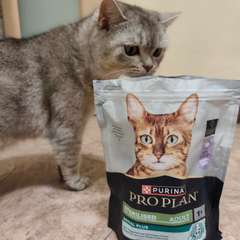 Фото отзыва 10813204