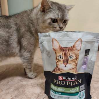 Корм сухой для кошек PRO PLAN 400г с индейкой при стерилизации и кастрации: отзыв пользователя. Зоомагазин Зоозавр