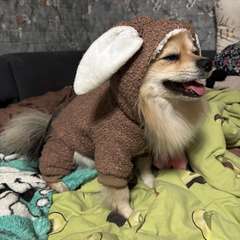 Фото отзыва 10301070