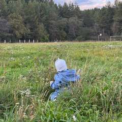 Фото отзыва 10312071