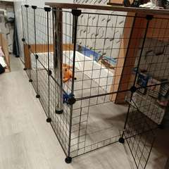 Фото отзыва 10712726