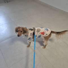 Фото отзыва 10821262