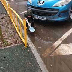 Видео отзыва 11262676