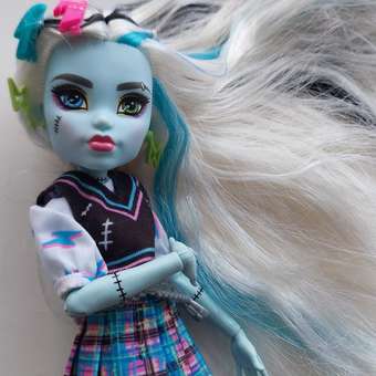 Кукла модельная Monster High Frankie: отзыв пользователя ДетМир