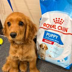 Фото отзыва 10473147