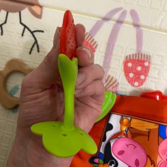 Прорезыватель Baby and nature Клубника: отзыв пользователя Детский Мир