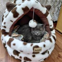 Фото отзыва 11172842