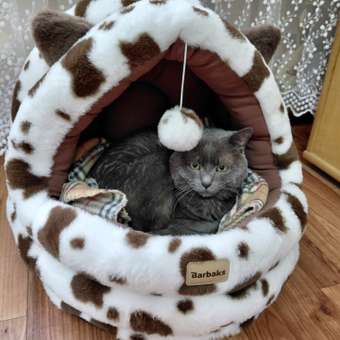 Домик Barbaks Му-му-му 43*39*42см: отзыв пользователя. Зоомагазин Зоозавр