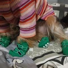 Фото отзыва 10497334