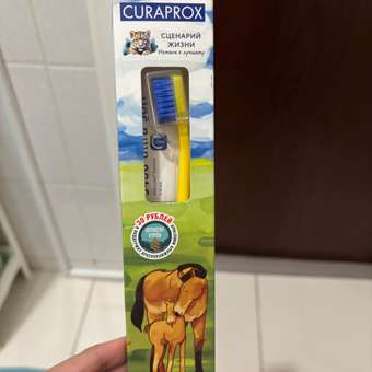 Зубная щетка классическая Curaprox 2 шт.: отзыв пользователя Детский Мир