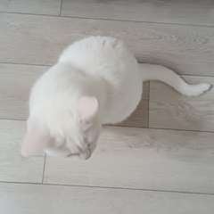 Фото отзыва 10658371