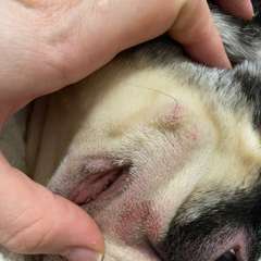 Фото отзыва 10819331