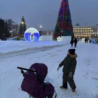 Санки-коляска NiKA kids Наши детки: отзыв пользователя ДетМир