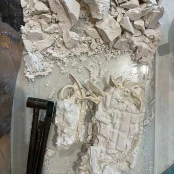 Набор для раскопок Играем вместе Трицератопс и Брахиозавр: отзыв пользователя Детский Мир