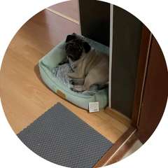 Видео отзыва 10328065