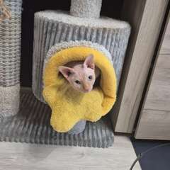 Фото отзыва 11122726