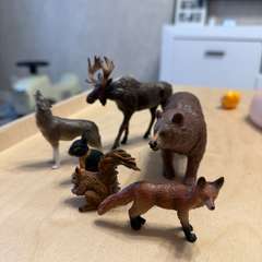 Фото отзыва 10542375