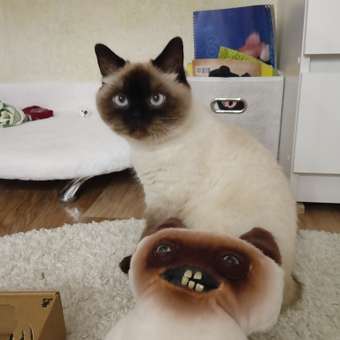 Мягкая игрушка Zuru FUGGLER Дикие коты Сиамский кот: отзыв пользователя Детский Мир