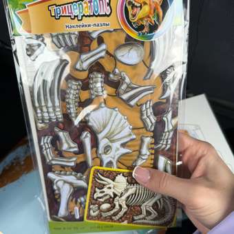 Наклейки Attivio Пазл Динозавр Трицератопс: отзыв пользователя Детский Мир