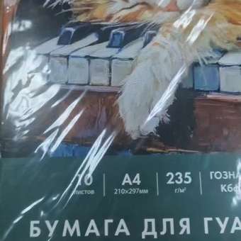 Художественная бумага Brauberg 10 лист.: отзыв пользователя Детский Мир