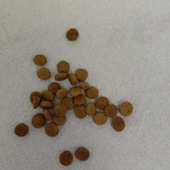 Корм ROYAL CANIN Sterilised 37 сухой 1.2кг для стерилизованных кошек: отзыв пользователя. Зоомагазин Зоозавр