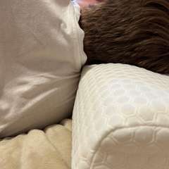 Фото отзыва 10913941