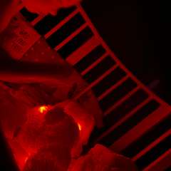 Фото отзыва 11260964