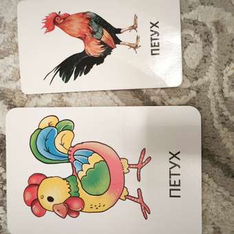 Развивающие карточки БимБиМон Мир вокруг: отзыв пользователя Детский Мир