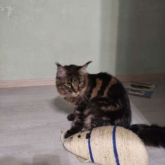 Игрушка для кошек Lilli Pet Sisal mouse XXL 32х13х10 см: отзыв пользователя. Зоомагазин Зоозавр