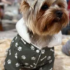 Фото отзыва 10627758