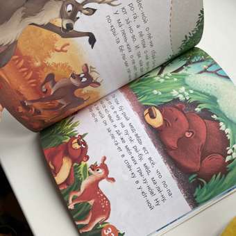 Книга АСТ Первые книжки Животные: отзыв пользователя Детский Мир