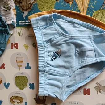 Трусы Day and Night 3 шт: отзыв пользователя Детский Мир