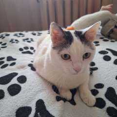 Фото отзыва 10979609