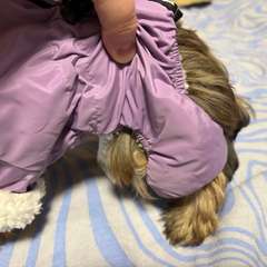 Фото отзыва 11063129