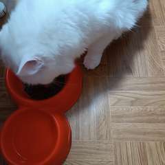 Фото отзыва 6716839