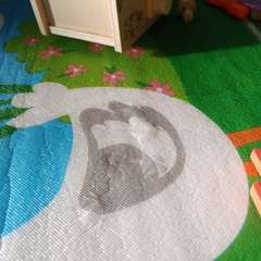 Фото отзыва 11317843