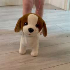 Видео отзыва 10635072