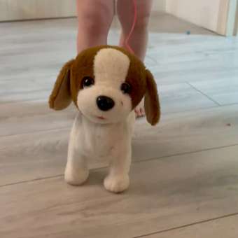 Мягкая игрушка TrendToys собачка на поводке: отзыв пользователя Детский Мир