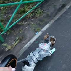 Видео отзыва 11491077