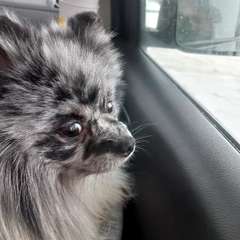 Фото отзыва 10896599