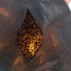 Фото отзыва 10431948