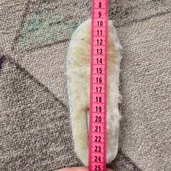 Фото отзыва 10753612