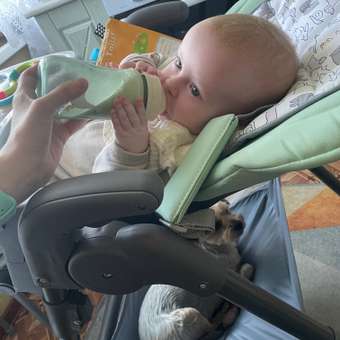 Стульчик для кормления Babyton Sweet Meals Mint зеленый: отзыв пользователя Детский Мир