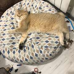 Фото отзыва 10523275