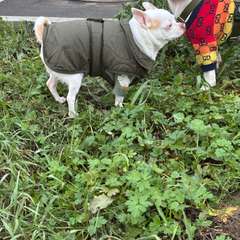 Фото отзыва 10735119