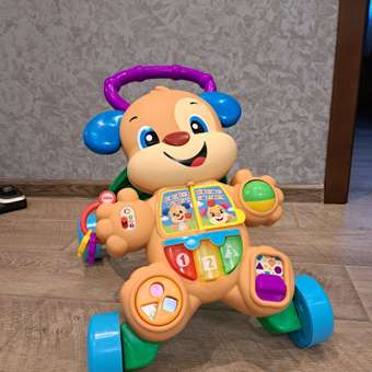 Ходунки Fisher Price Ученый Щенок с ручкой: отзыв пользователя ДетМир