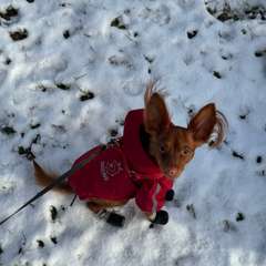 Фото отзыва 10731290