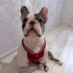 Фото отзыва 10638585