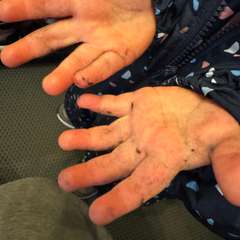 Фото отзыва 10638500