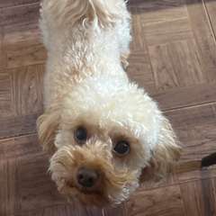 Фото отзыва 11122032